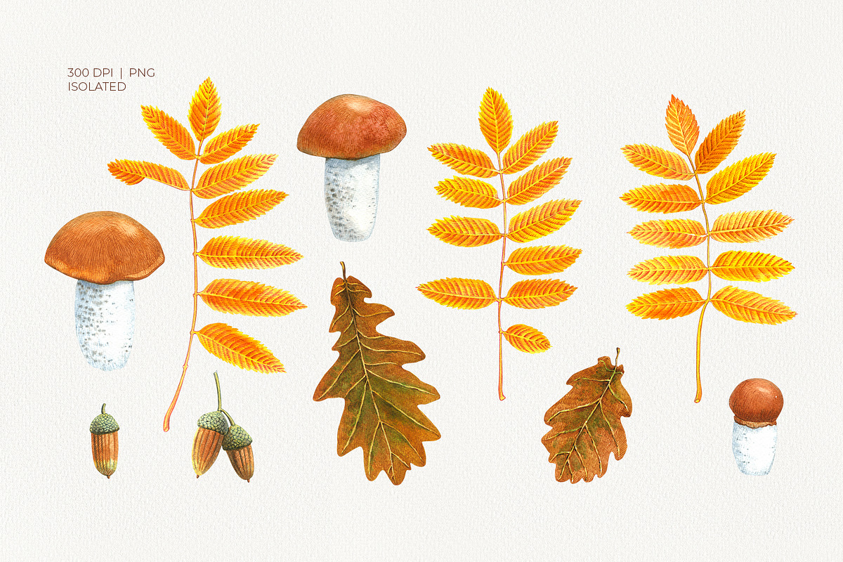 Autumn Woodland Watercolor, a Seasonal Illustration by YarovaArt (Photo 2 of 15)