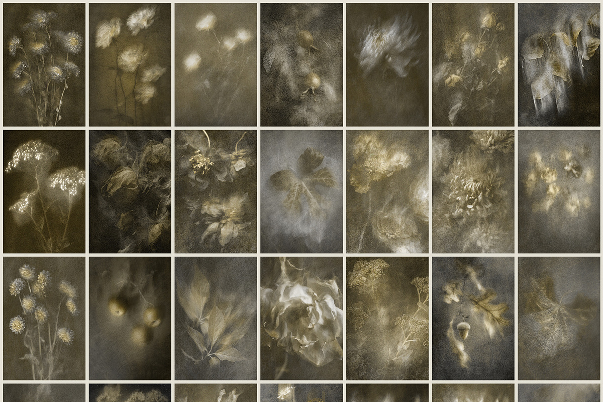 Lull · Brown Botanical Autumn Series, a Background Graphic by alonahaidash (Photo 9 of 16)