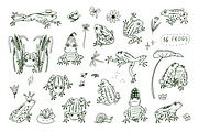16 Frogs, an Animal Illustration by GooseFrol (Thumbnail 3 of 11)