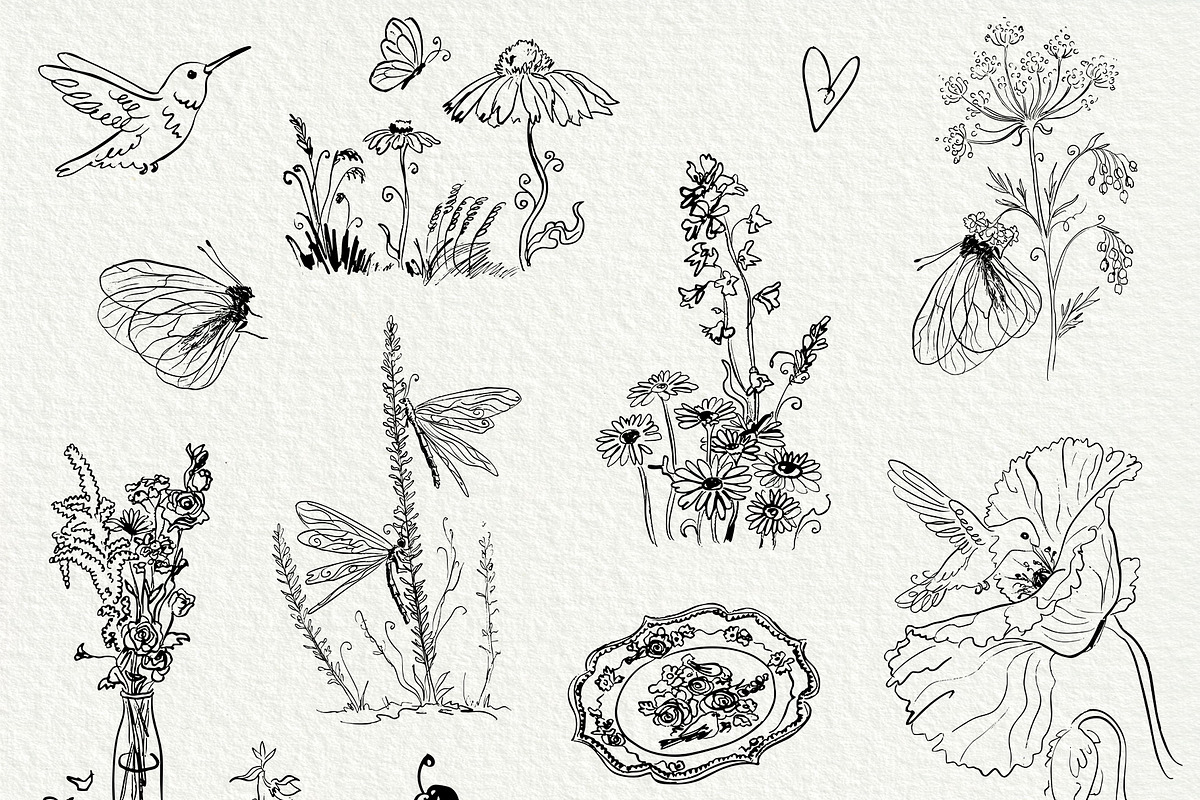New Perennial Garden Wedding, a Decorative Illustration by divanovskaya_nv (Photo 4 of 27)