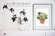 House Plants Collection, a Graphic by SmallHouseBigPony (Thumbnail 6 of 18)