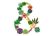 Succulents Bundle PNG + Patterns, an Illustration by Alexandra Fulger (Thumbnail 5 of 8)