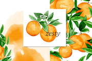 Juicy Watercolor Orange Collection, an Illustration by One and Only Paper (Thumbnail 6 of 8)