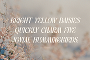 Promised Freyna Modern Display Serif, a Serif Font by Denustudios (Thumbnail 3 of 13)