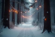 Winter Wonderland Path | Stock Photo, a Holiday Photo by Aura Canyon HQ (Thumbnail 1 of 7)