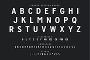 Barbecue Logo Bundle + Fonts, a Branding & Logo Template by Millieangelo (Thumbnail 7 of 7)
