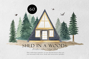 Shed in a Woods