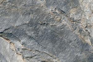 Close-up of rough gray stone surface with detailed cracks and na, an Animal Photo by Ales Munt
