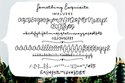 Something Exquisite script font, a Script Font by Ana's Fonts (Thumbnail 2 of 9)