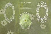 Veine Verte Botanical Backgrounds, a Background Graphic by alonahaidash (Thumbnail 15 of 20)