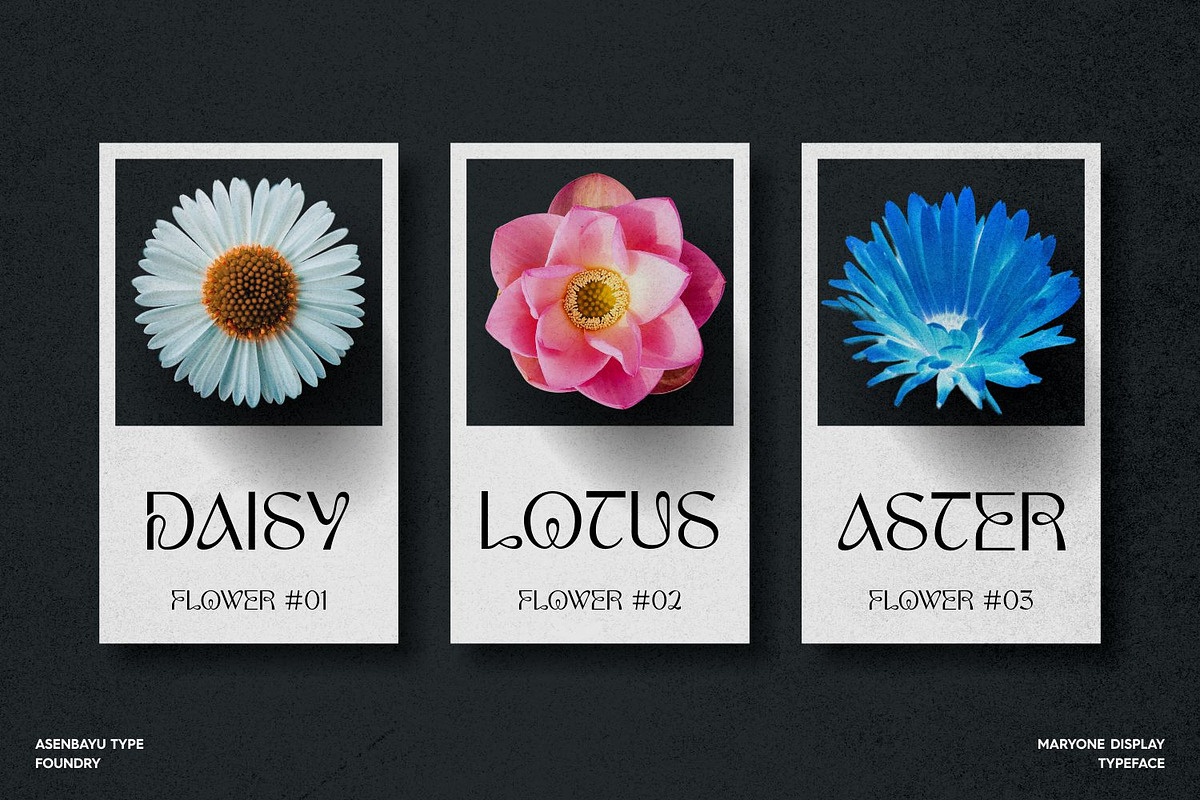 Maryone Font, a Serif Font by Asenbayu (Photo 4 of 15)