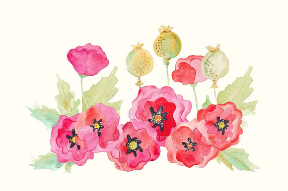 poppies preview 3