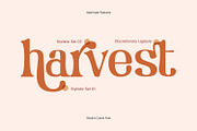 Rhythm Cares, a Serif Font by yumnatype (Thumbnail 9 of 10)