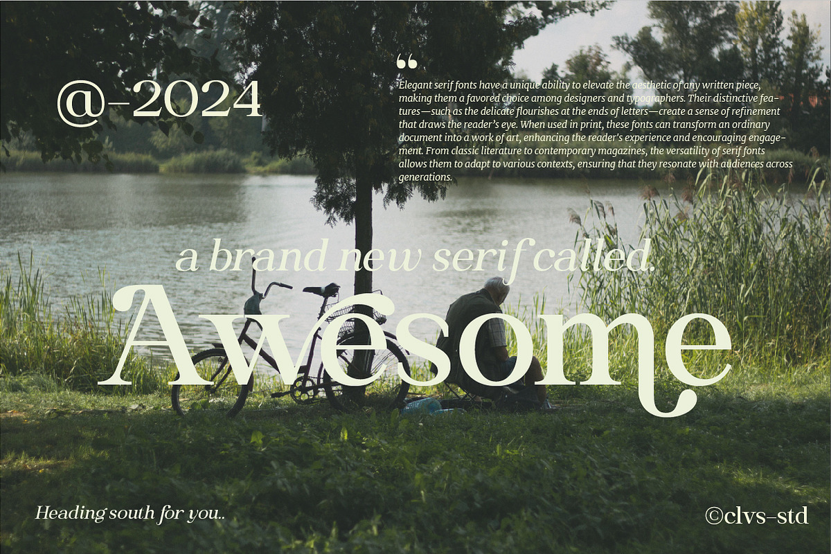 Heading South | Retro serif, a Serif Font by ClevUs (Photo 6 of 14)