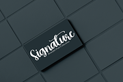 Onion | Script Font, a Script Font by Scratchones (Thumbnail 6 of 8)