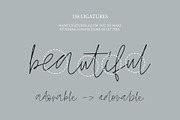 Ludwig Script, a Handwritten Font by supfonts (Thumbnail 3 of 7)