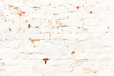 White brick cement old wall, an Abstract Photo by Vapi