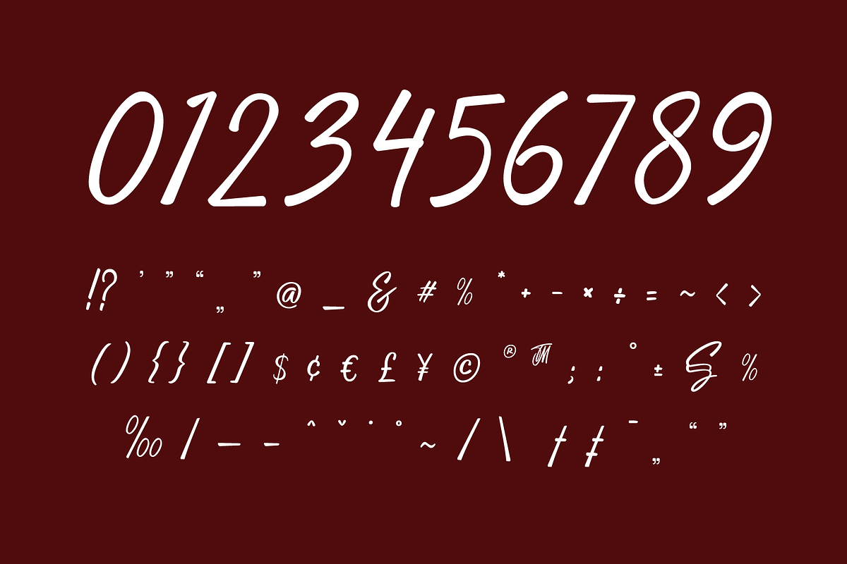 Ceylonite – Stylish Handwriting Font, a Script Font by Pokal Studio (Photo 13 of 16)