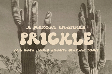 Prickle - Hand Drawn Display Font, a Font by Madeline ODonoghue Design