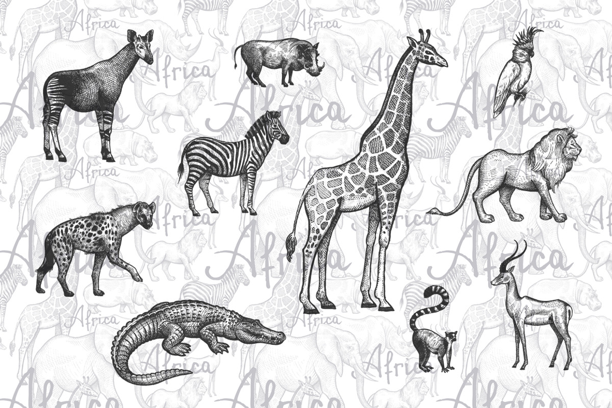 African animals., an Object Graphic by MarinaVorontsova (Photo 3 of 6)