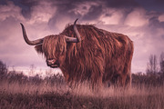 300 Professional Lightroom Presets, an Action Add-On by Madison Colt Studios (Thumbnail 18 of 29)