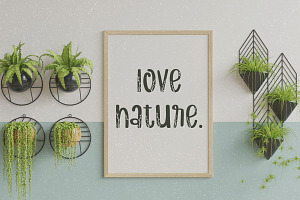 Natural Leaf Decorative Font