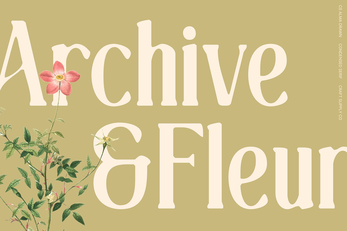 CS Alma Drawn, a Serif Font by Craft Supply Co. (Photo 7 of 8)
