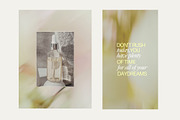 Soft Floral Spring Blur Backgrounds, a Background Graphic by eclosque (Thumbnail 42 of 48)