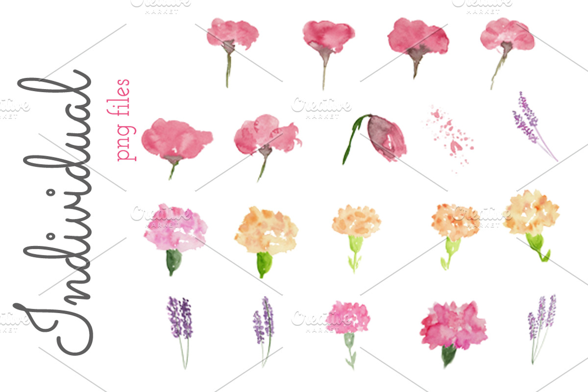 Watercolor Flower Clip Art - Flirty, an Illustration by Prettiful Designs (Photo 2 of 5)
