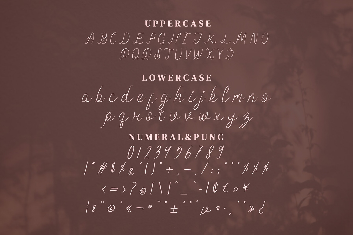 Fothem Script Fonts, a Script Font by mahstudios (Photo 11 of 14)