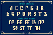 Frostco, a Symbol Font by Vintage Division (Thumbnail 13 of 15)