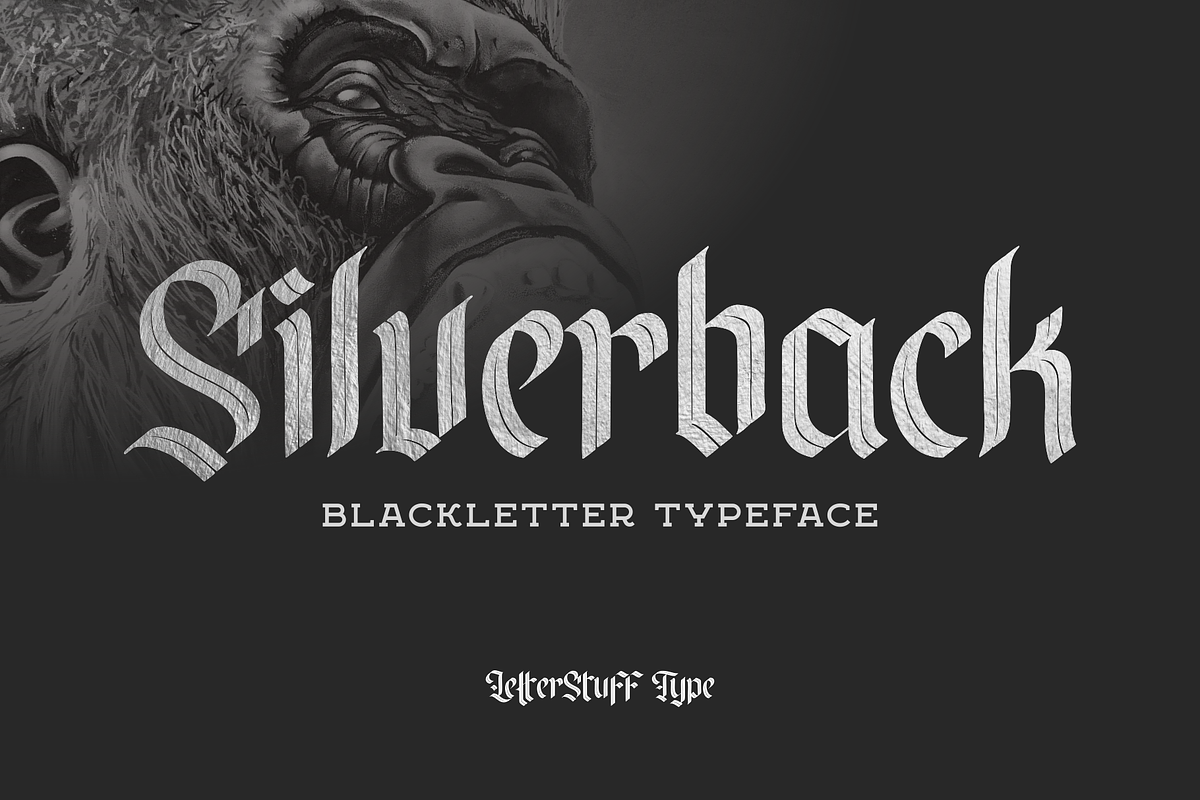 Silverback - Blackletter Typeface, a Blackletter Font by LetterStuff Typefoundry (Photo 1 of 7)