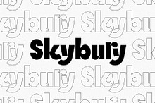 SLTF Skybury - Sans Serif Typeface