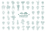 63 Succulents illustration set, a Decorative Illustration by Artha Design Studio (Thumbnail 3 of 4)