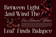 Sraken || Modern Elegant Serif Font, a Serif Font by Ermedia Studio (Thumbnail 7 of 10)