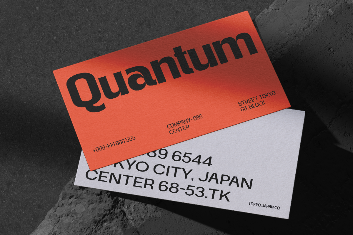 Gegant Font, a Sans Serif Font by Megatype (Photo 12 of 15)