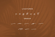 Zeyatte Kareety, a Script Font by Integritype Studio (Thumbnail 11 of 15)