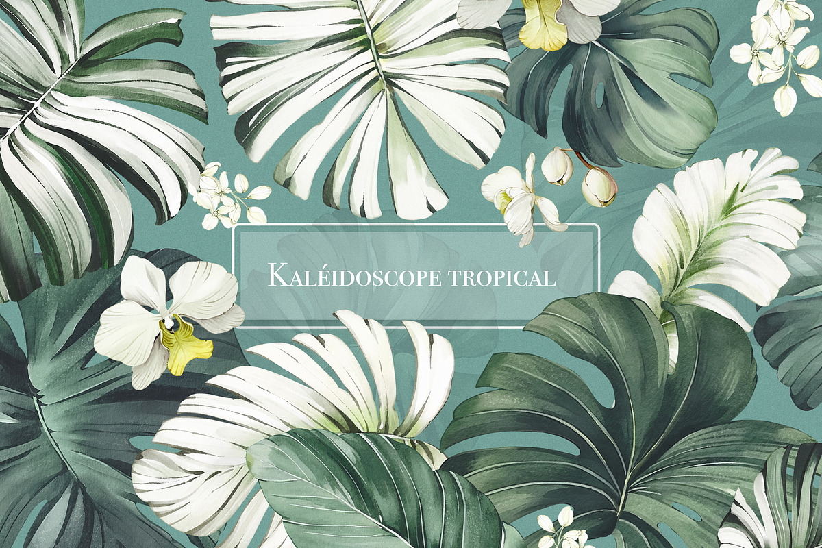 Tropical Seamless Patterns, a Pattern Graphic by Lisima (Photo 1 of 16)