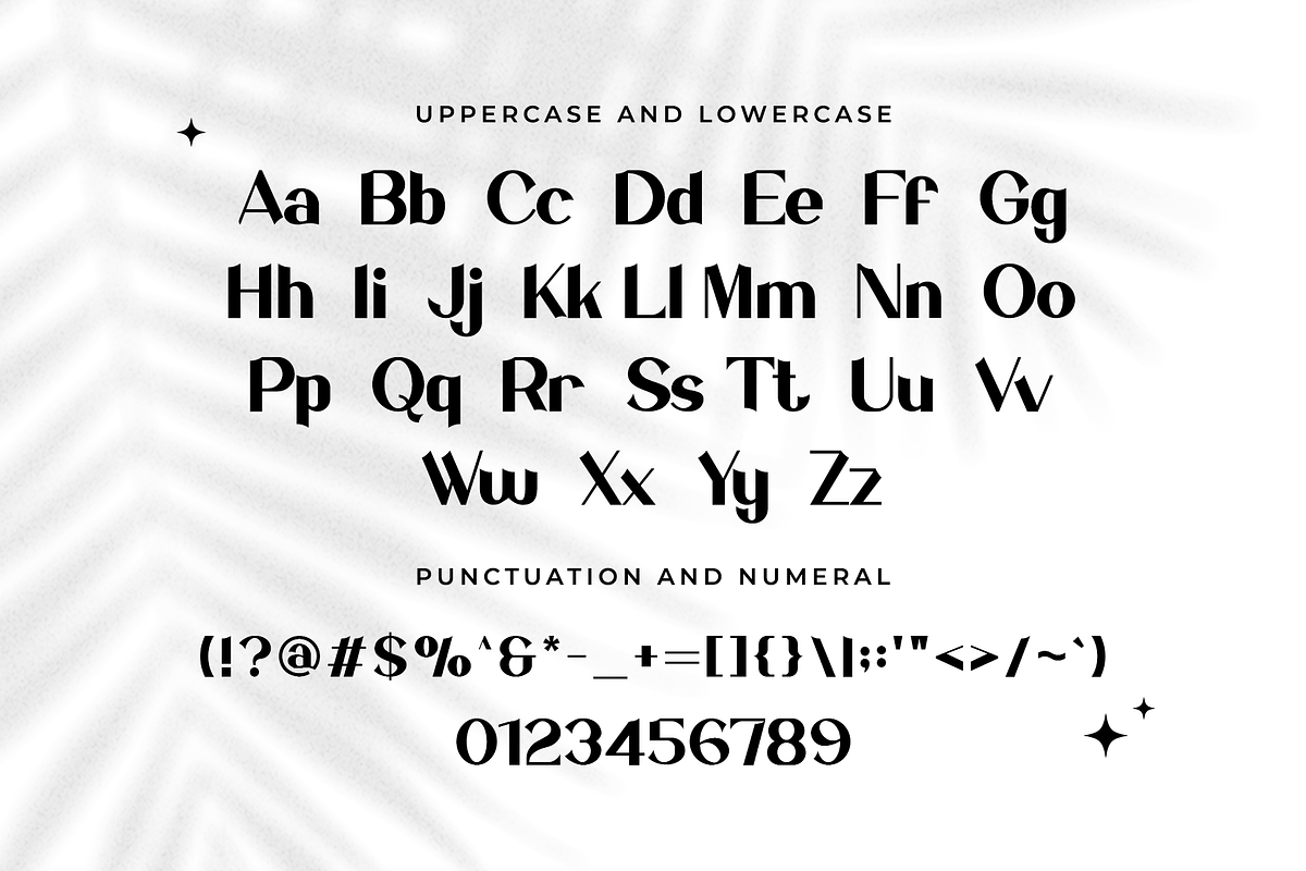 Salvador - Modern Serif Typeface, a Serif Font by overlaytemplates (Photo 4 of 5)
