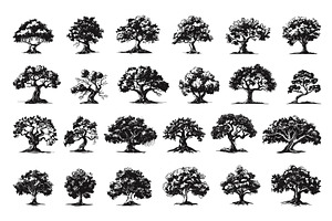 Young and Old Oak Trees Icon Set, an Object Illustration by LadadikArt