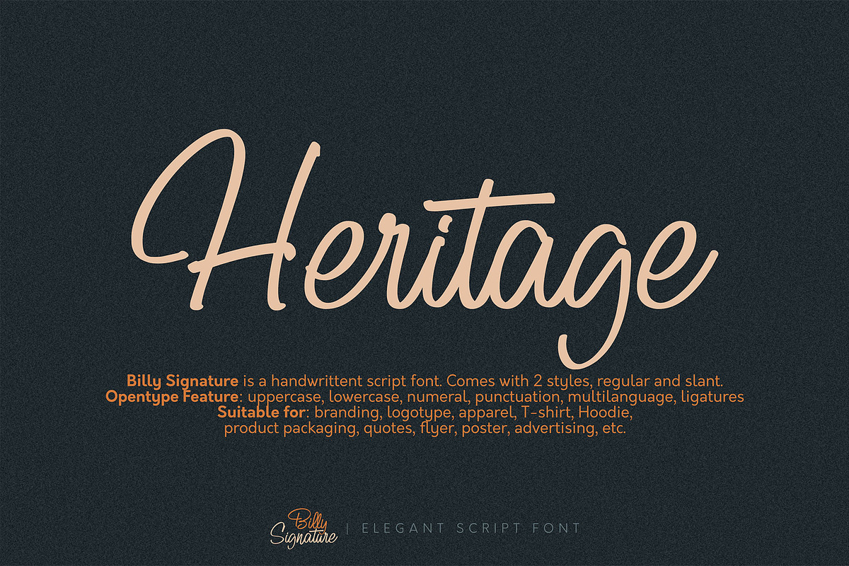 Billy Signature, a Script Font by Omotu Studio (Photo 2 of 12)