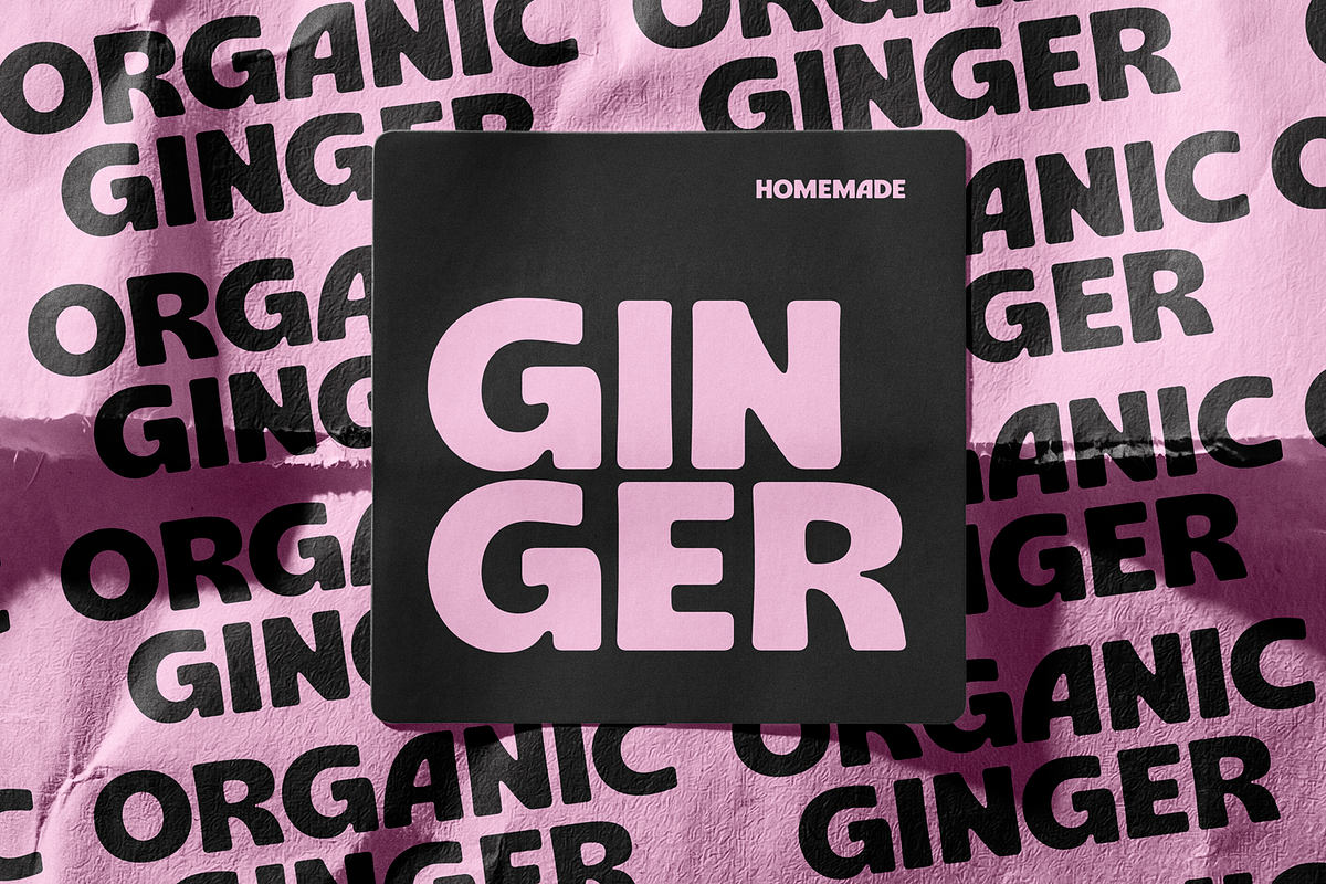 Gogia Sans, a Sans Serif Font by Viswell (Photo 6 of 8)