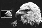 Pencil Drawings Effect Photoshop, a Layer Style Add-On by Hubzway (Thumbnail 3 of 7)