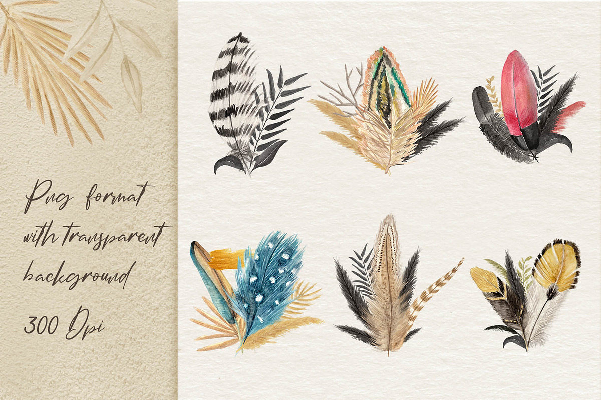 Watercolor Feathers Collection, a Decorative Illustration by GRANCI STUDIOS (Photo 7 of 12)