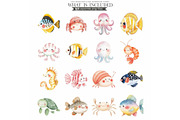 Cute Sea Animals Watercolor Clipart, an Animal Illustration by CharmClipart (Thumbnail 4 of 9)