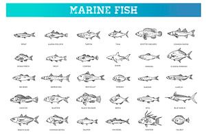 Saltwater Fish Set, an Outline Icon by Tettygreen