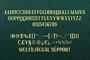 Stained Iron Playful Serif, a Serif Font by Haps Space (Thumbnail 10 of 12)