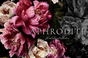 Aphrodite Floral Clip Art Collection