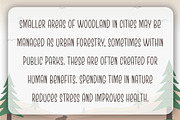 Sabinka - Fun Condensed Font, a Font by Patria Ari (P4tcreativa) (Thumbnail 5 of 7)