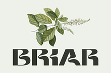 Briar - Fluid Variable Typeface